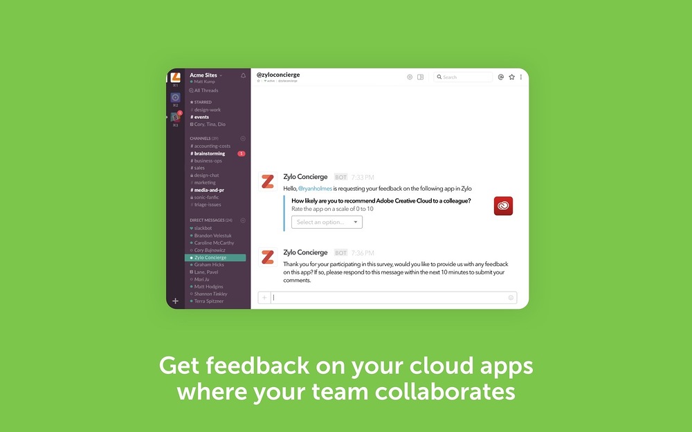 Zylo feature detail — Security & Compliance app on the Slack Marketplace