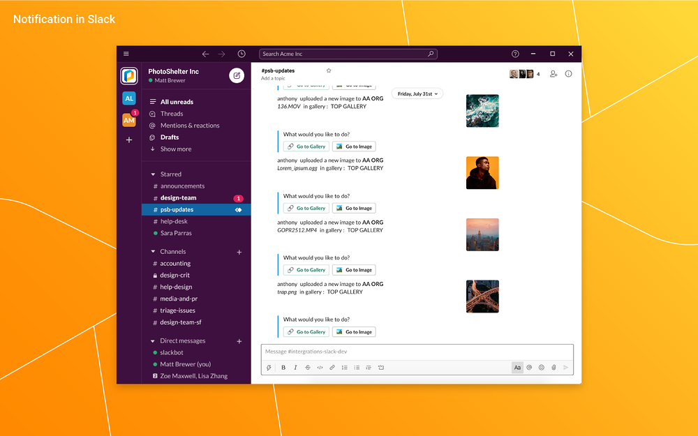 PhotoShelter Brands primary marketing image — File Management app on the Slack Marketplace