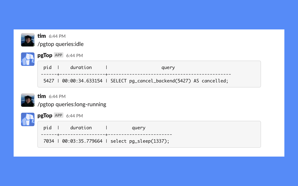 pgTop settings interface — Developer Tools app on the Slack Marketplace