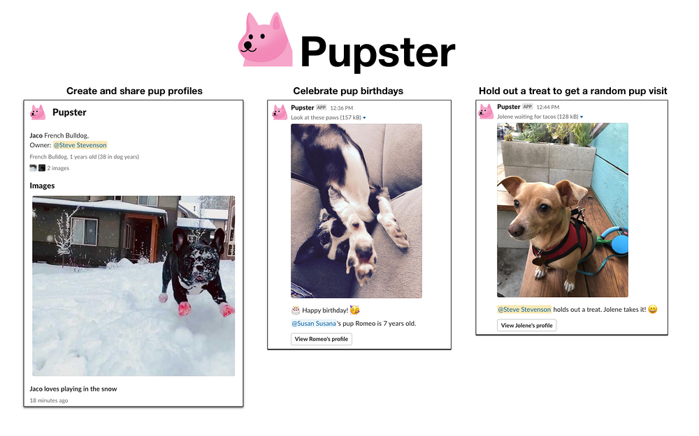 Pupster primary marketing image — Social & Fun app on the Slack Marketplace