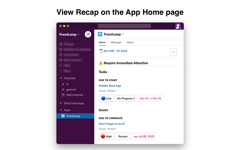 Freedcamp settings interface — Project Management app on the Slack Marketplace