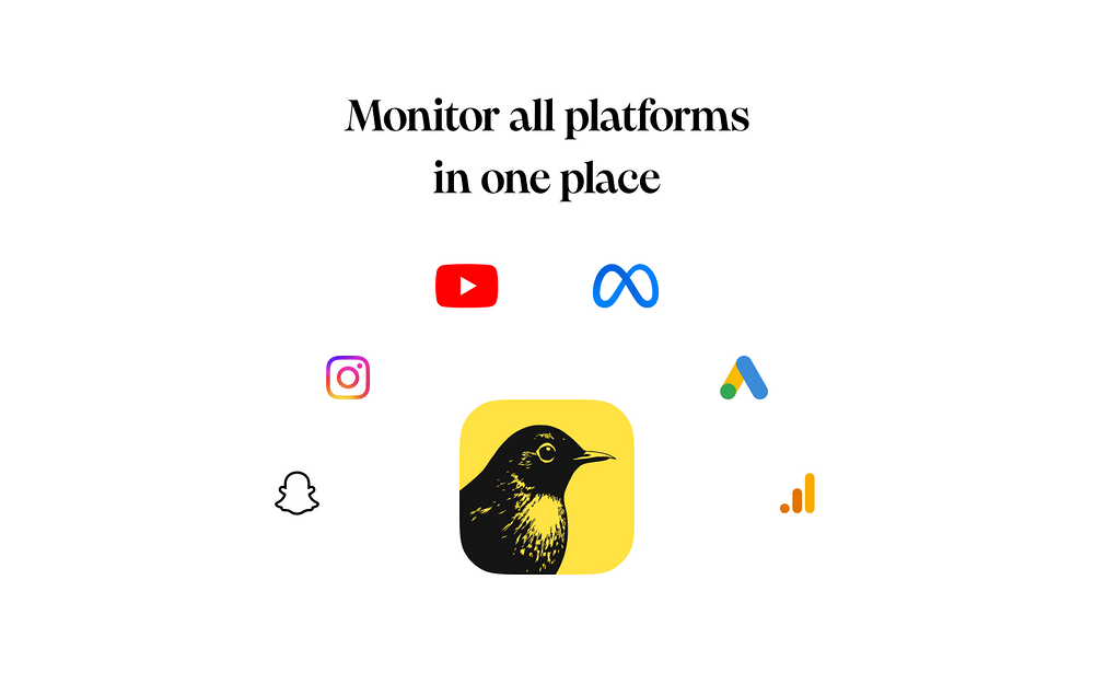 Bïrch integration setup — Marketing app on the Slack Marketplace