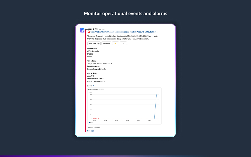 Amazon Q Developer dashboard view — Developer Tools app on the Slack Marketplace