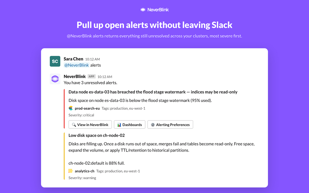 NeverBlink feature detail — Developer Tools app on the Slack Marketplace