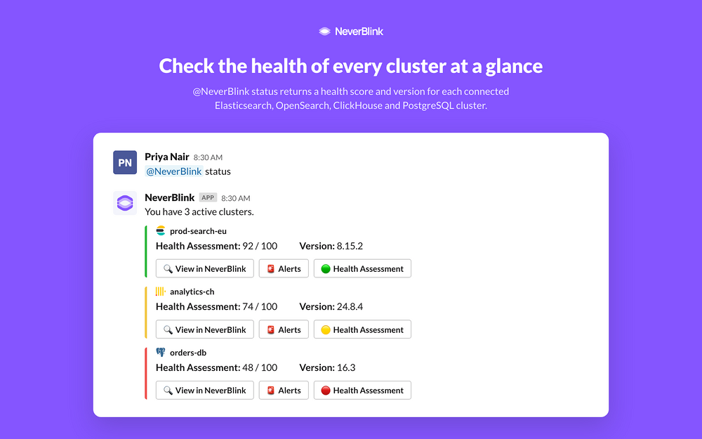 NeverBlink settings interface — Developer Tools app on the Slack Marketplace